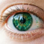 Similes for Green Eyes: Vivid Ways to Describe Nature-Inspired Beauty (2026) similes for green eyes